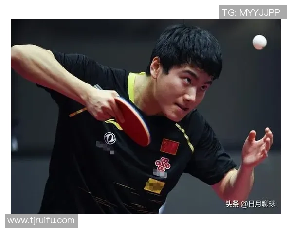 成都篮球队的蜕变之路总决赛特别报道展现新风貌与未来希望