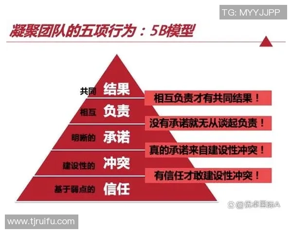 成都排球队的团队协作之道：如何在赛场上实现默契与胜利
