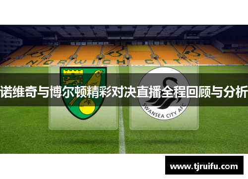 诺维奇与博尔顿精彩对决直播全程回顾与分析
